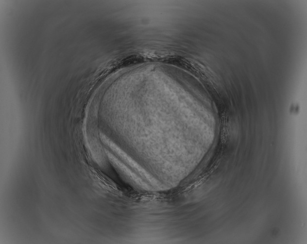 X0000090731345200708031514
