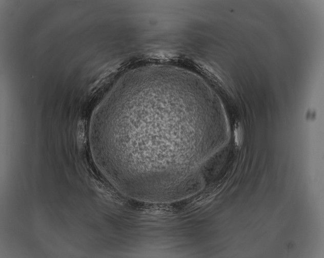 X0000090731347200708031514