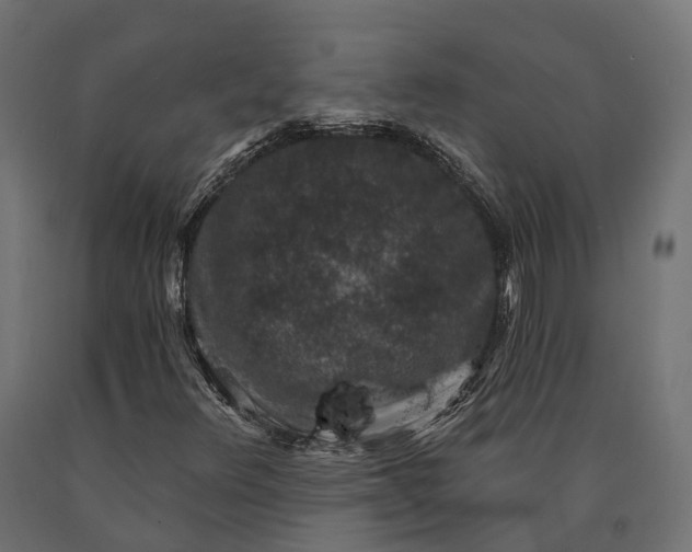 X0000090731348200708031514