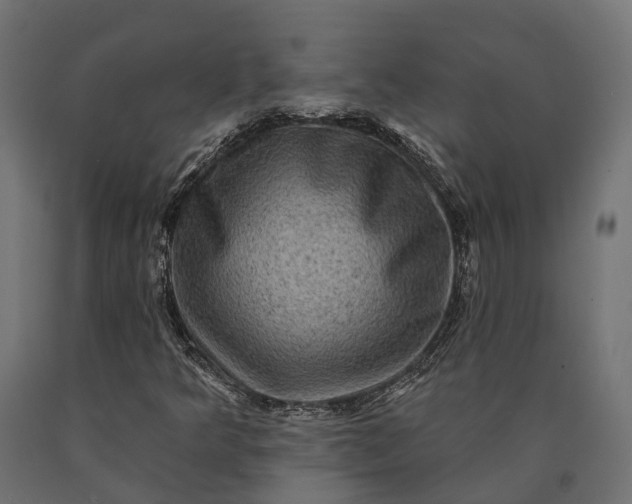 X0000090731349200708031514