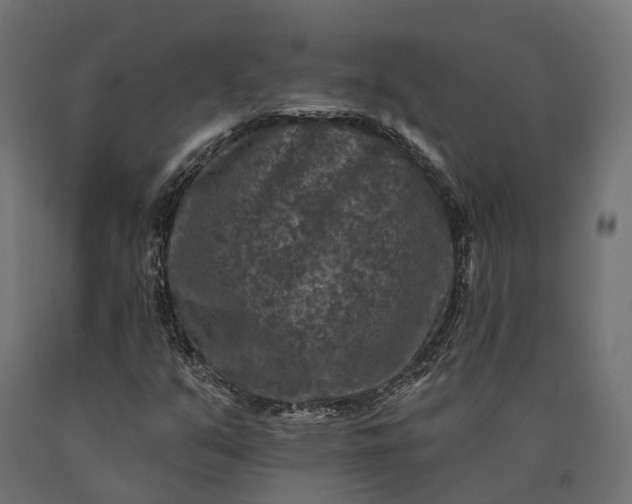 X0000090731351200708031514