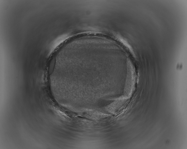 X0000090731352200708031514