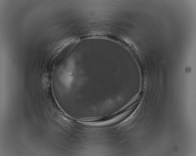 X0000090731353200708031514