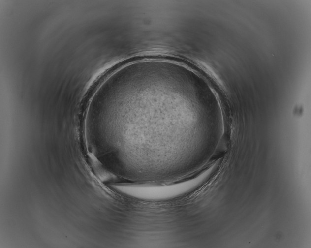 X0000090731356200708031514
