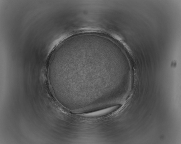X0000090731357200708031514