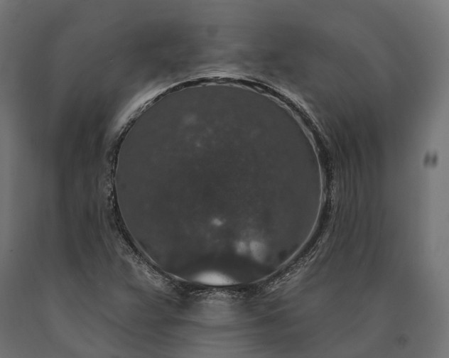X0000090731359200708031514