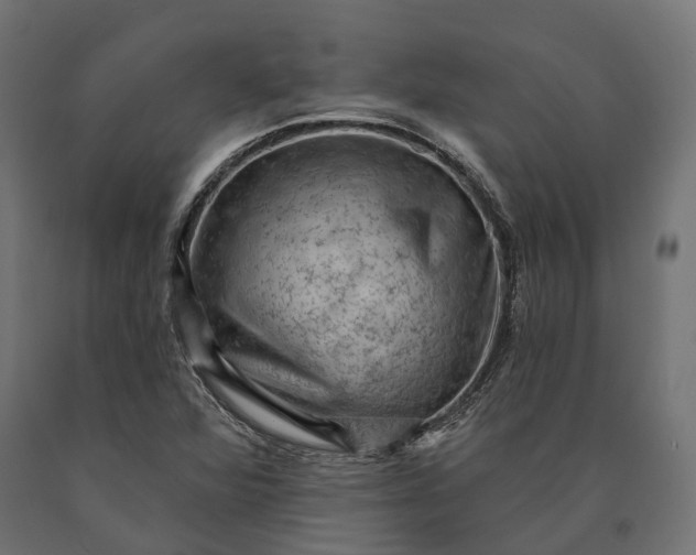 X0000090731360200708031514