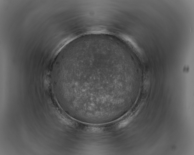 X0000090731361200708031514