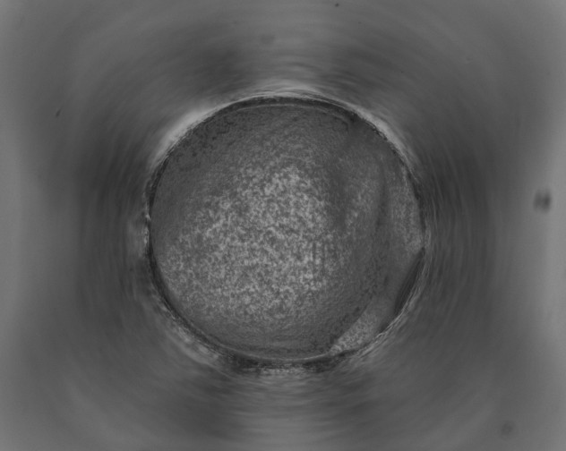 X0000090731363200708031514