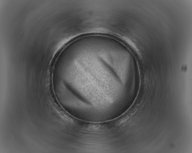 X0000090731364200708031514
