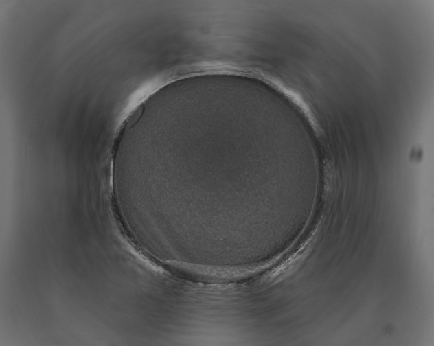 X0000090731365200708031514