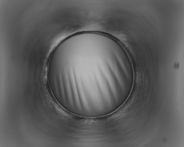 X0000090731366200708031514