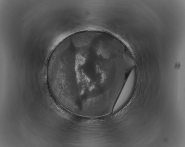 X0000090731367200708031514