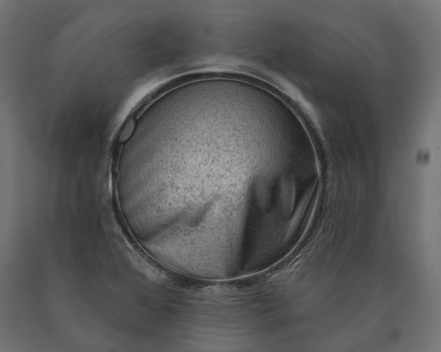 X0000090731368200708031514