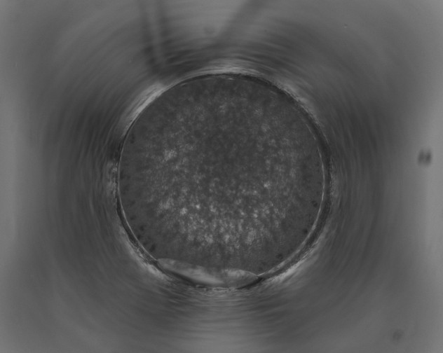 X0000090731369200708031514