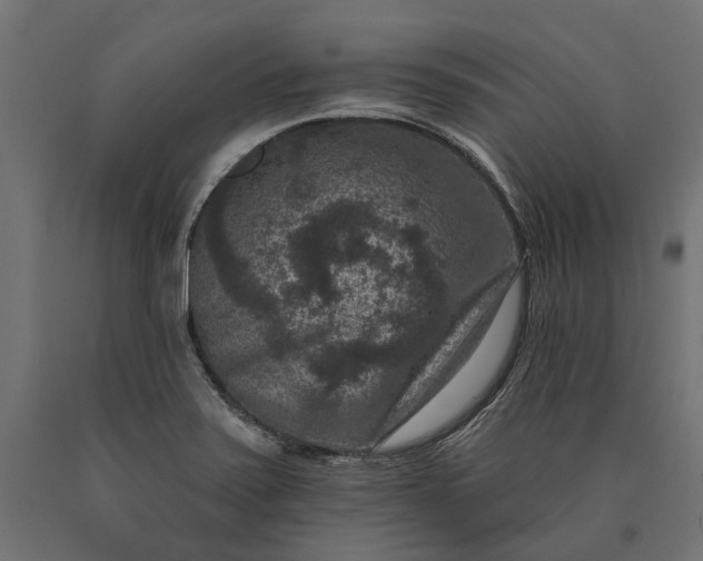 X0000090731371200708031514