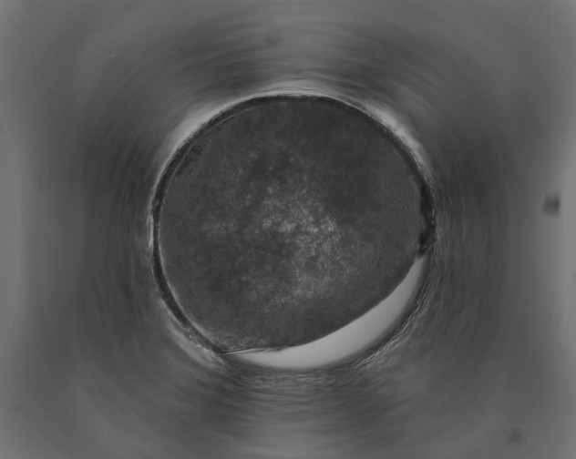 X0000090731372200708031514