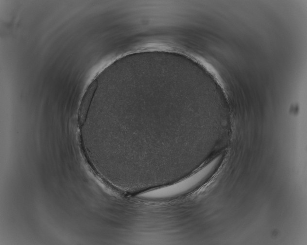 X0000090731373200708031514