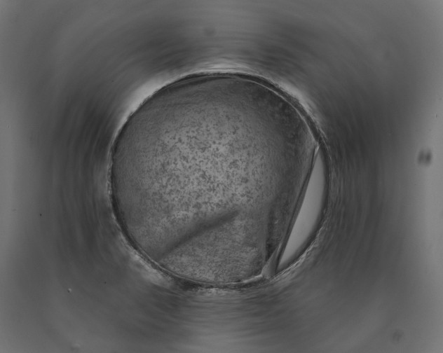 X0000090731374200708031514