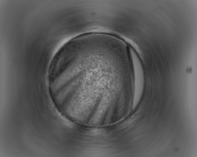 X0000090731375200708031514