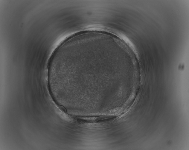 X0000090731376200708031514