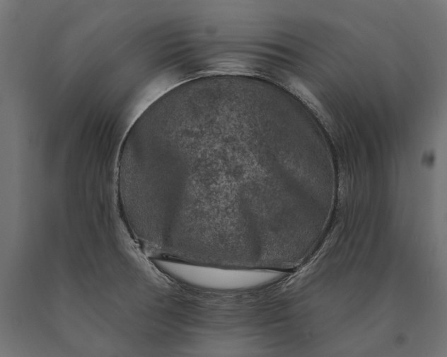 X0000090731378200708031514