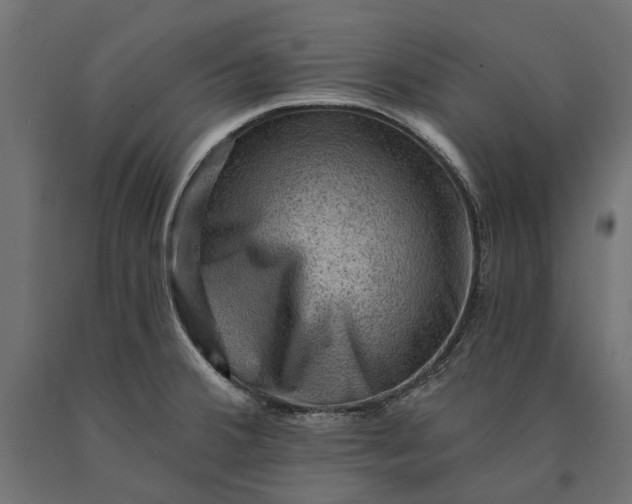 X0000090731380200708031514