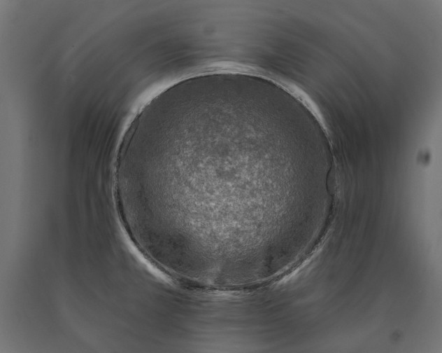 X0000090731381200708031513