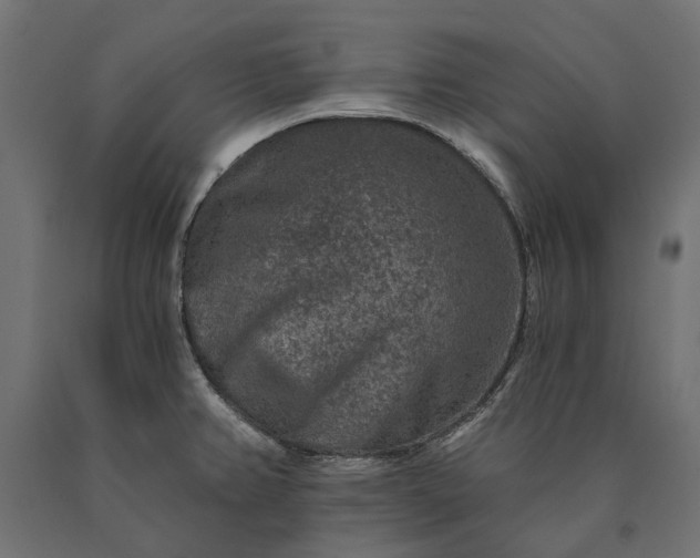 X0000090731382200708031513