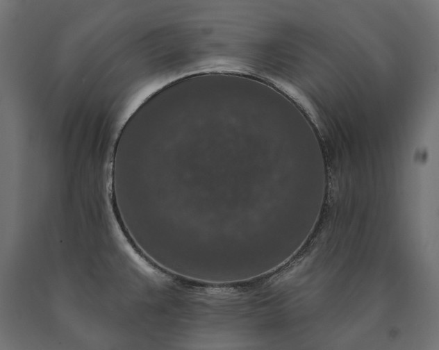X0000090731383200708031513