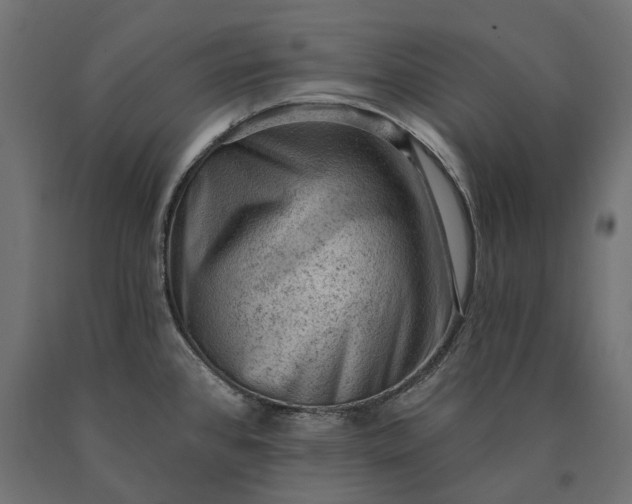 X0000090731384200708031513
