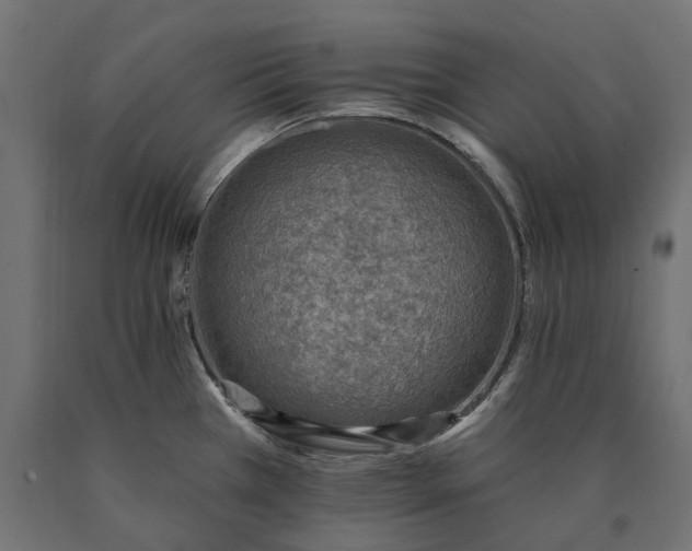 X0000090731385200708031513