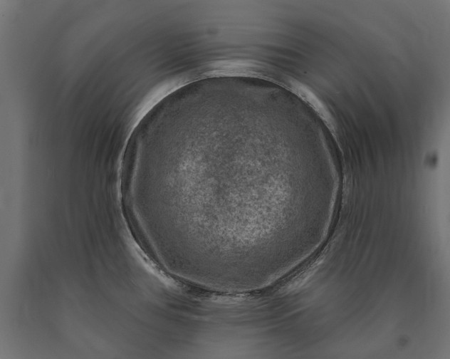 X0000090731386200708031513