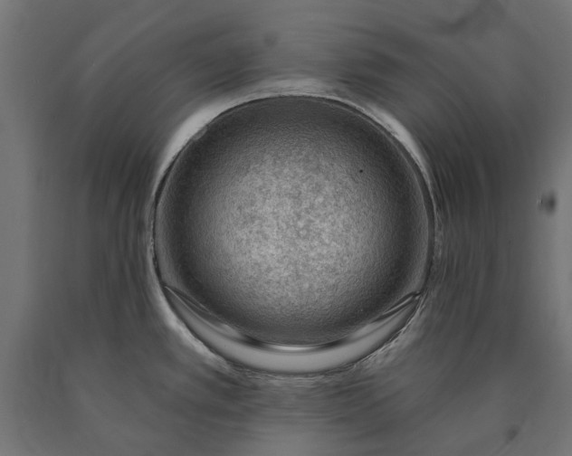 X0000090731389200708031513