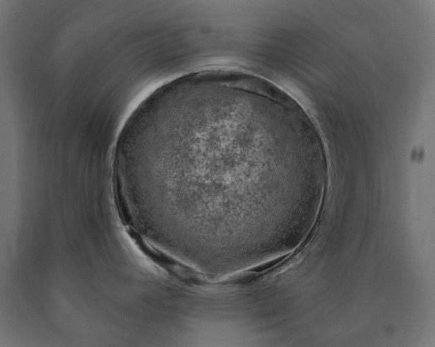 X0000090731392200708031513