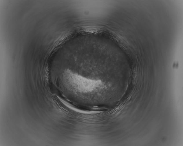 X0000090731394200708031513
