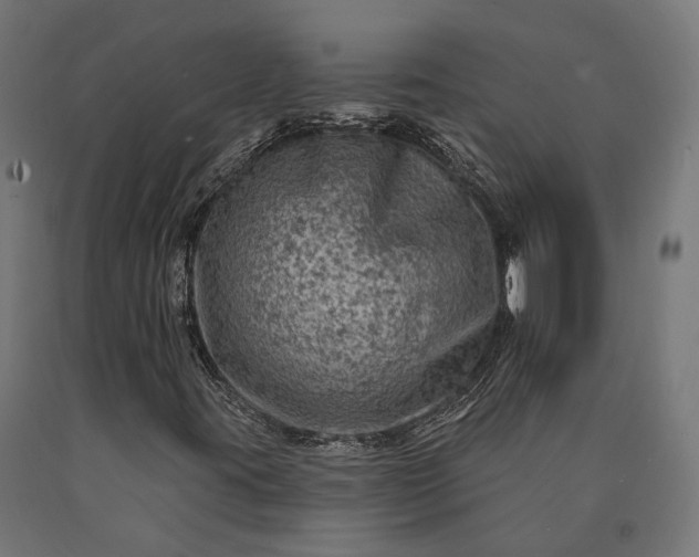 X0000090731395200708031513
