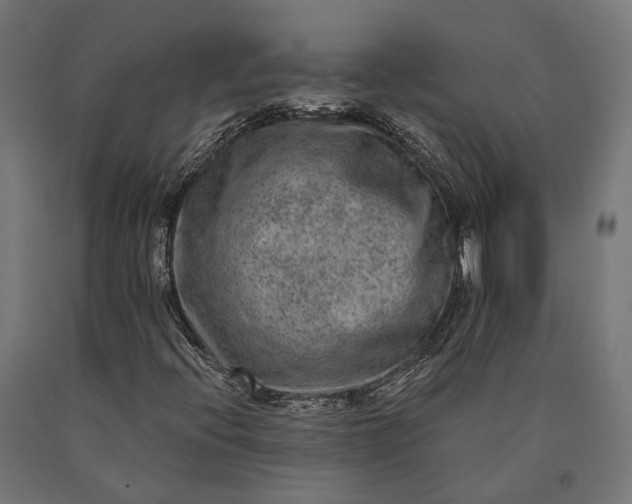 X0000090731396200708031513