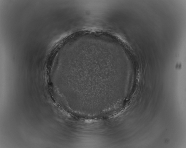 X0000090731398200708031513