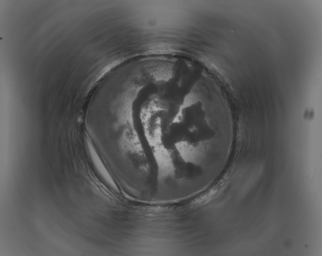 X0000090731401200708031513