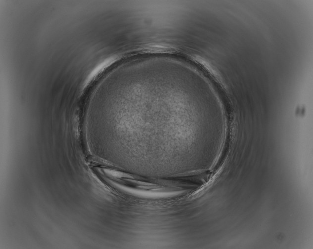 X0000090731402200708031513