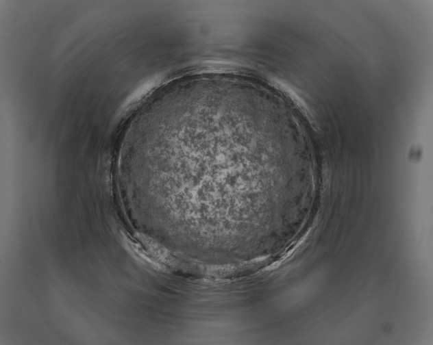 X0000090731403200708031513