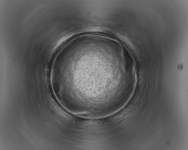 X0000090731404200708031513