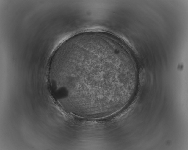 X0000090731405200708031513