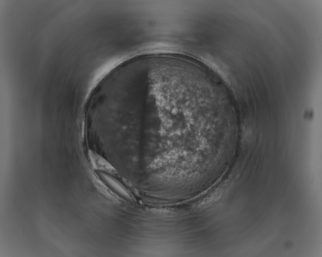 X0000090731413200708031513