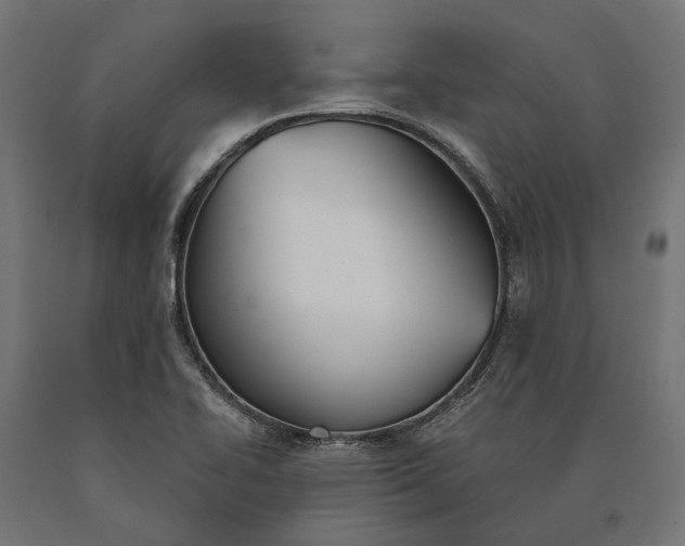 X0000090731414200708031513