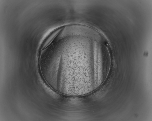 X0000090731416200708031513