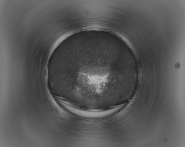X0000090731418200708031513