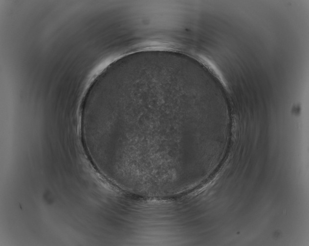 X0000090731419200708031513