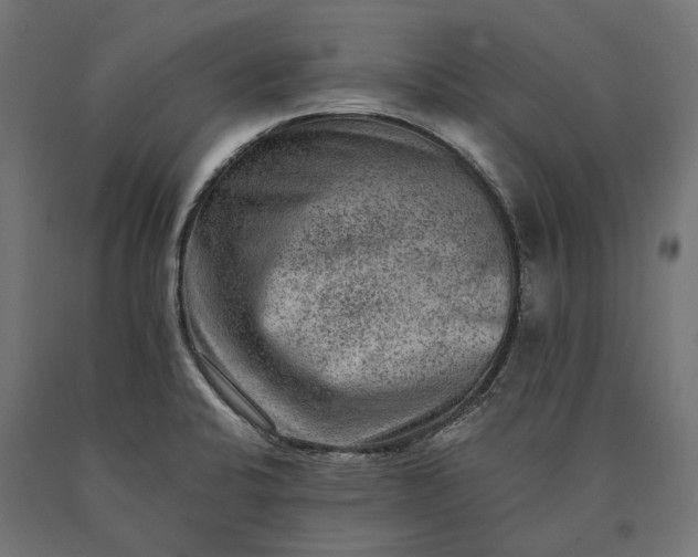 X0000090731424200708031513